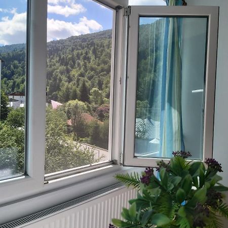 Apartment Valea Azugii Azuga Kültér fotó