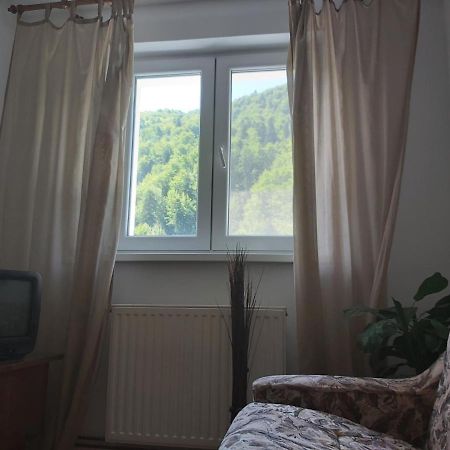 Apartment Valea Azugii Azuga Kültér fotó