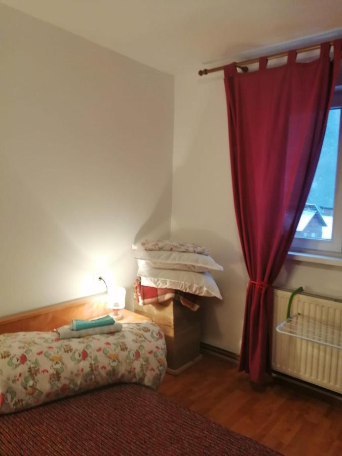 Apartment Valea Azugii Azuga Kültér fotó