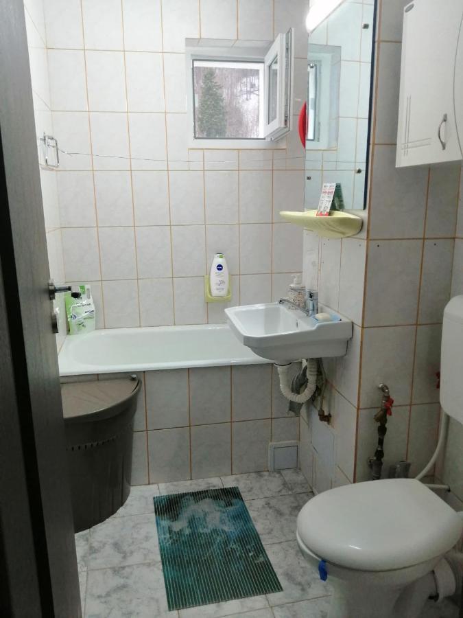 Apartment Valea Azugii Azuga Kültér fotó