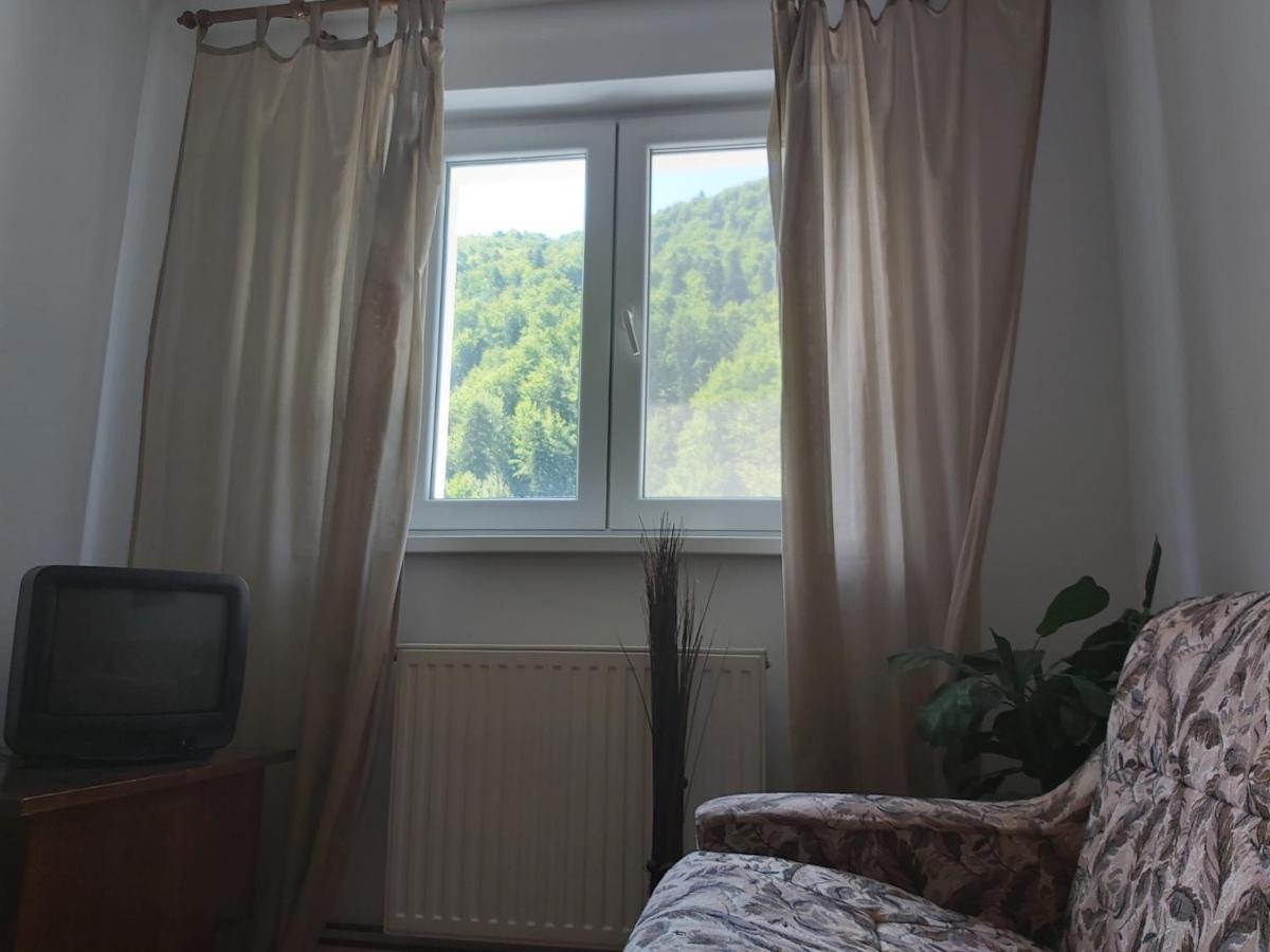 Apartment Valea Azugii Azuga Kültér fotó
