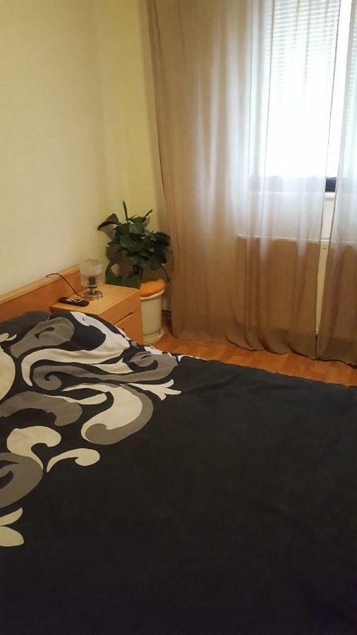 Apartment Valea Azugii Azuga Kültér fotó